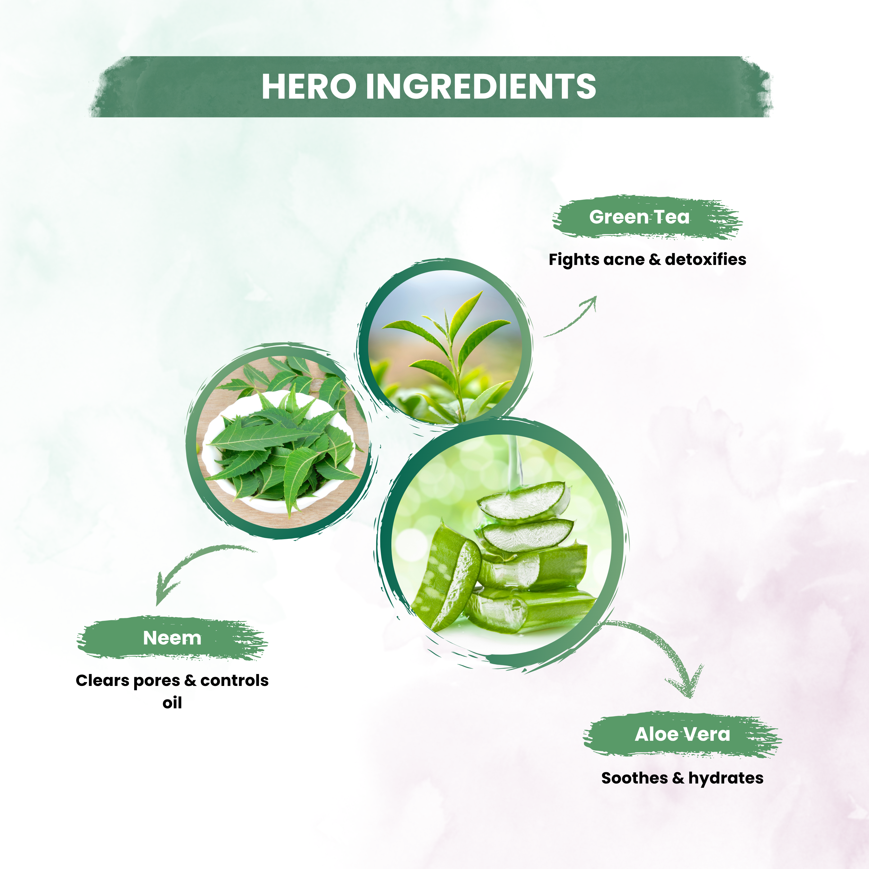 Green Tea Facewash With Green Tea & Tea Tree For Anti Acne & Controls Excess Oil