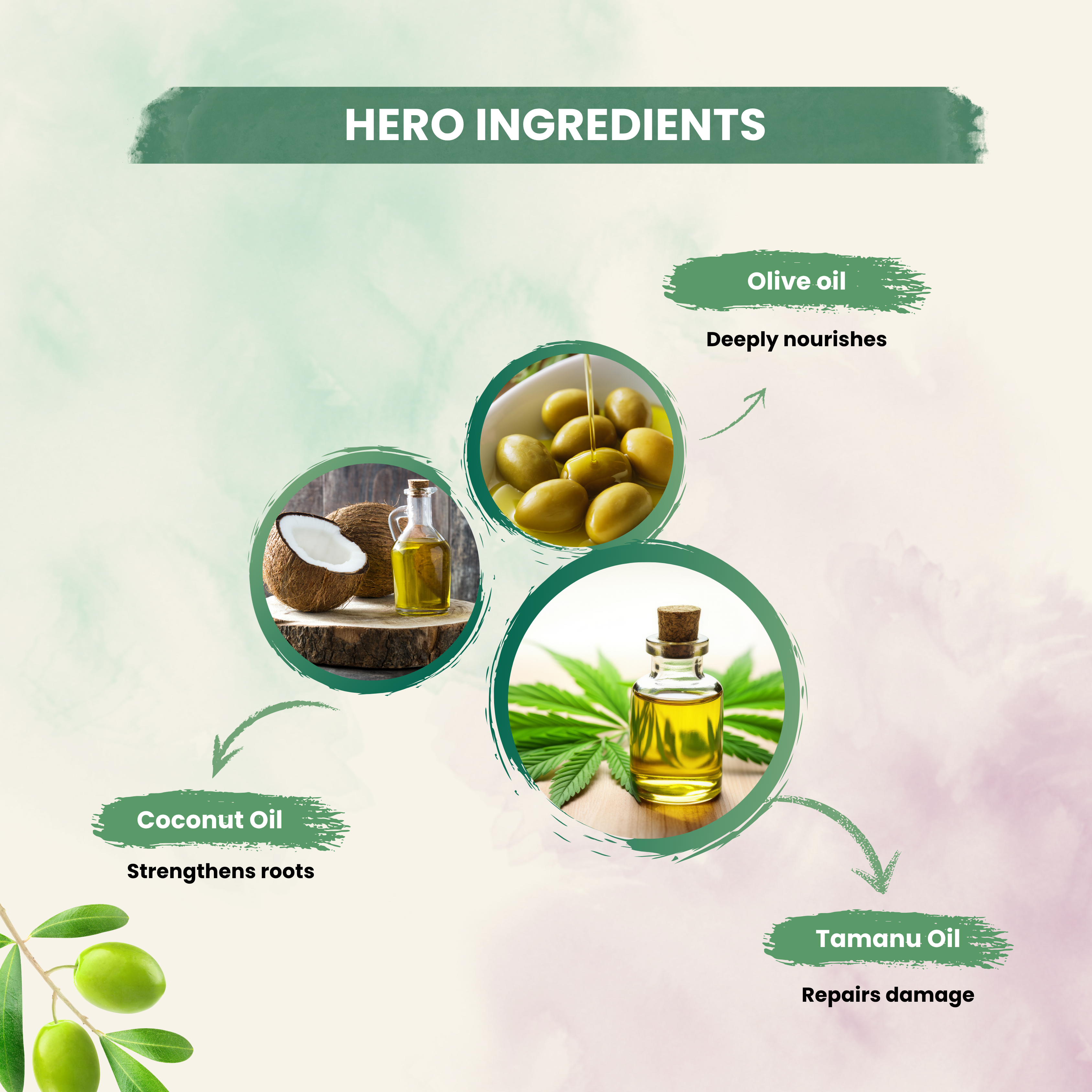 Hair Care Hair Oil With Tamanu Oil & Olive Oil For Hair Fall Control /Suitable For All Hair Types